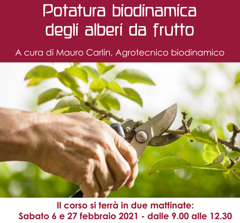 immagine potatura