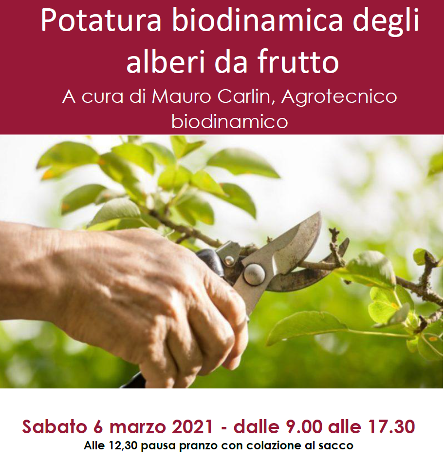 CORSO DI 6 MARZO 2021 CORTO