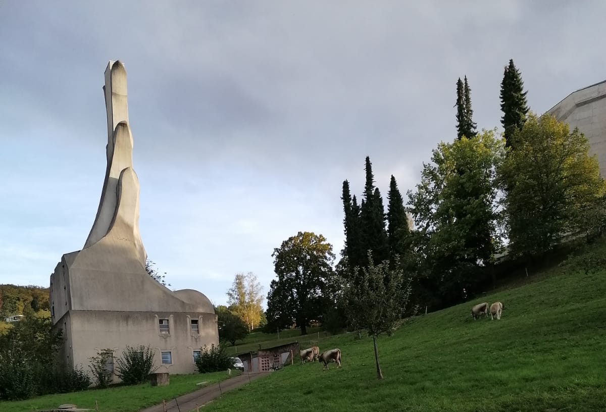 Cooperativa Agricola Biodinamica La Monda Piccola Soc. Coop. A R.L. — foto 7